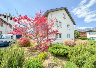 KAISERSTUHL – JECHTINGEN Ensemble mit 2 Wohnungen & Ausbaureserve